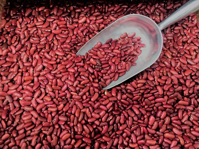Health Benefits Cooking with Kidney Beans 